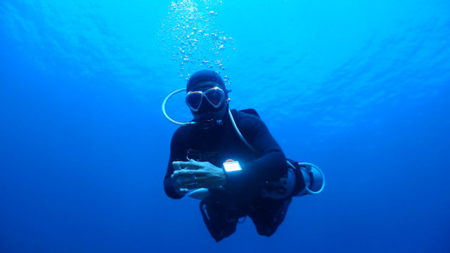 ダイブテリーズ