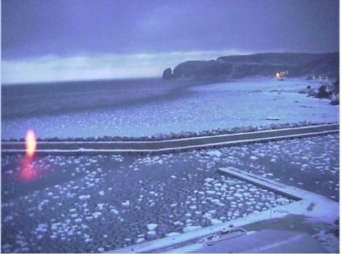 ダイブテリーズ