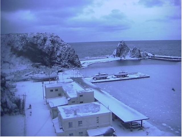 ダイブテリーズ