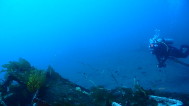 ダイブテリーズ