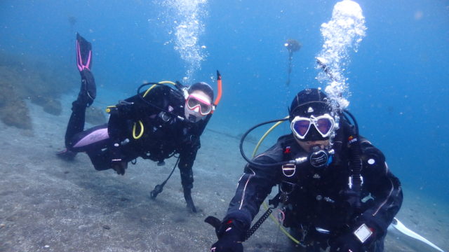 ダイブテリーズ