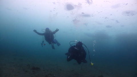 ダイブテリーズ