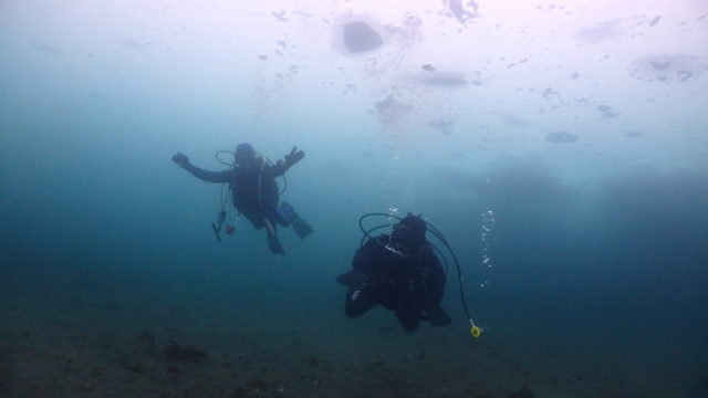 ダイブテリーズ