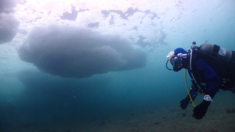 ダイブテリーズ