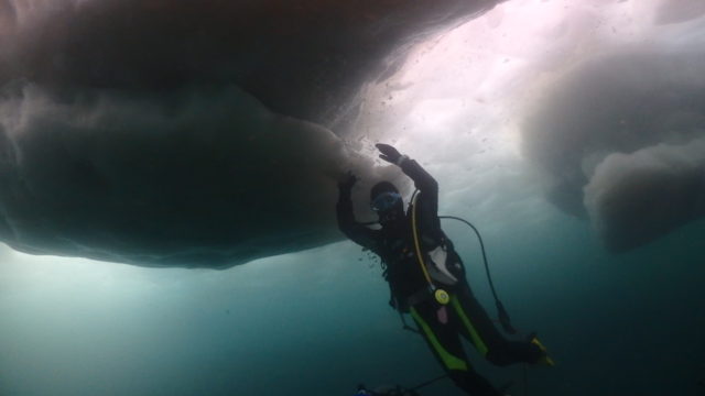 ダイブテリーズ