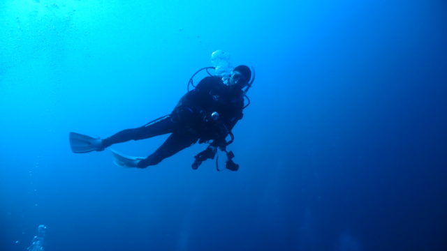 ダイブテリーズ