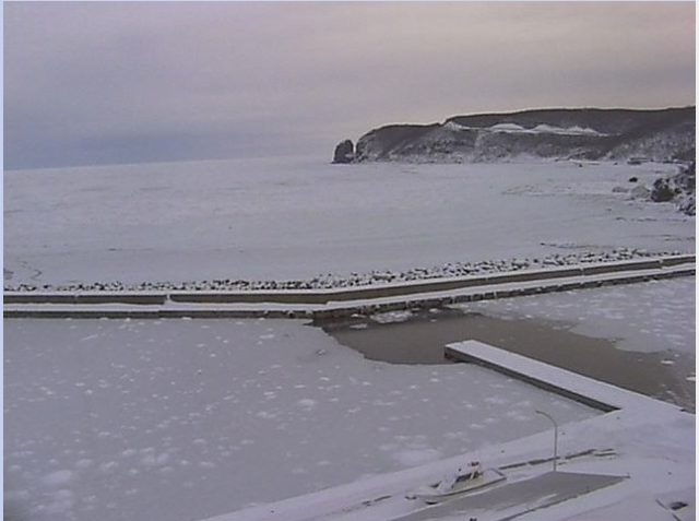 ダイブテリーズ