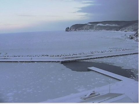 ダイブテリーズ