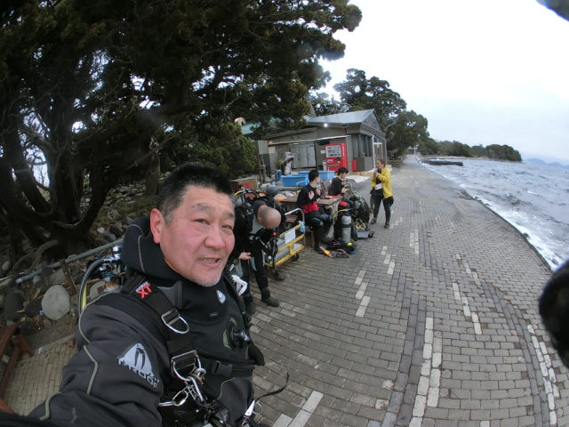 ダイブテリーズ