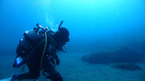 ダイブテリーズ