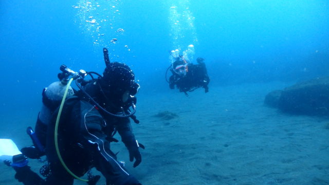 ダイブテリーズ