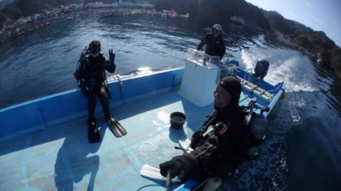 ダイブテリーズ