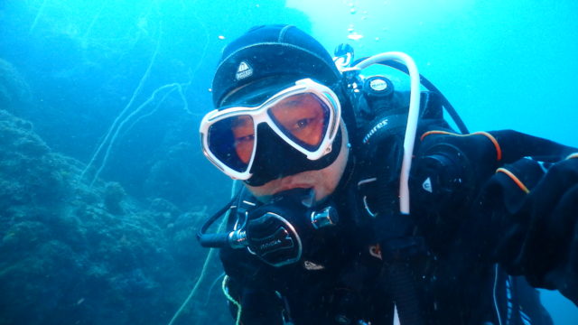 ダイブテリーズ