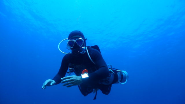 ダイブテリーズ