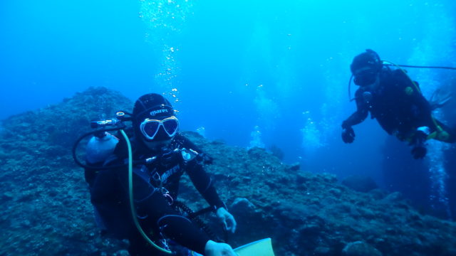 ダイブテリーズ