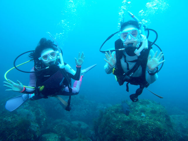 ダイブテリーズ