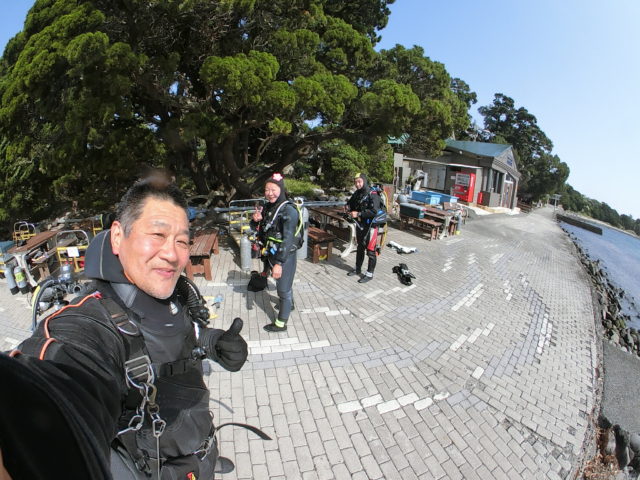 ダイブテリーズ