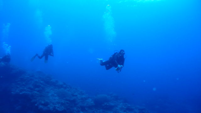 ダイブテリーズ