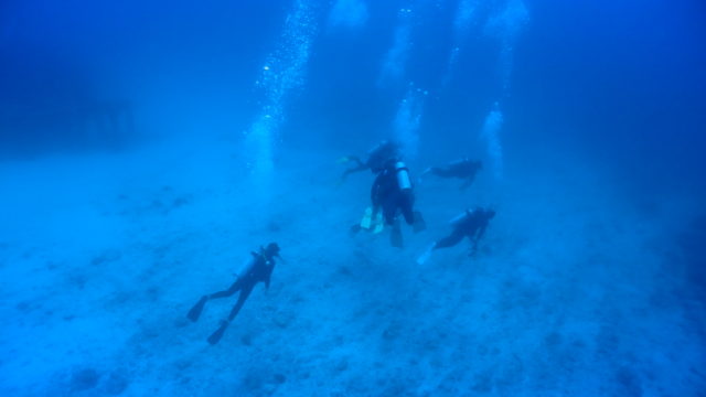 ダイブテリーズ