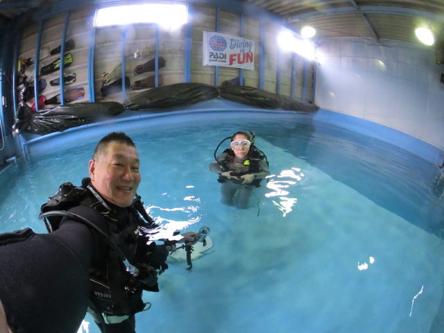 ダイブテリーズ