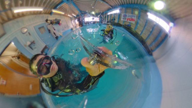 ダイブテリーズ