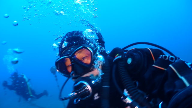 ダイブテリーズ