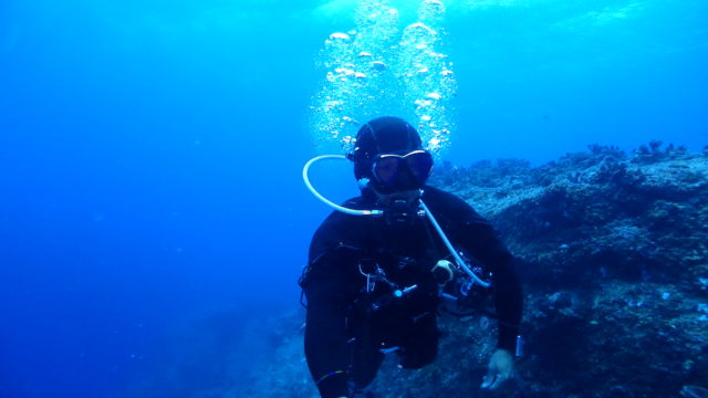 ダイブテリーズ