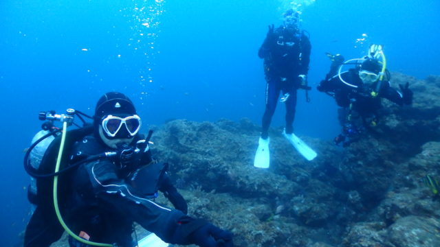 ダイブテリーズ