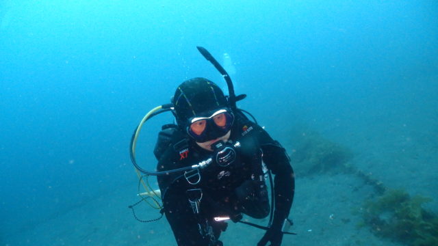 ダイブテリーズ