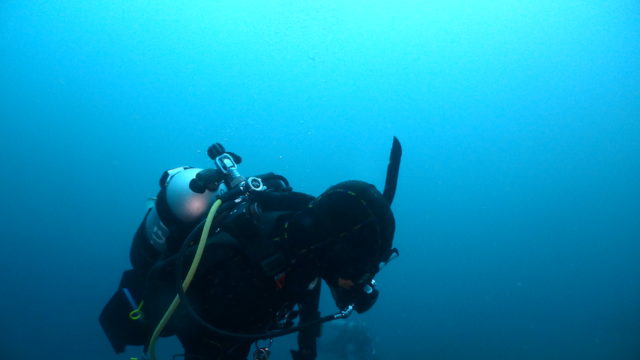 ダイブテリーズ