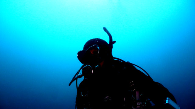 ダイブテリーズ