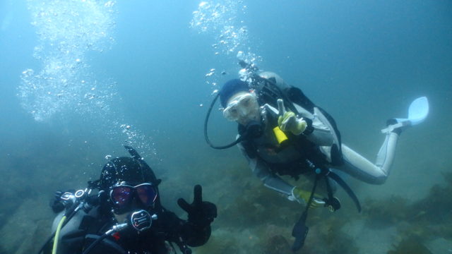 ダイブテリーズ