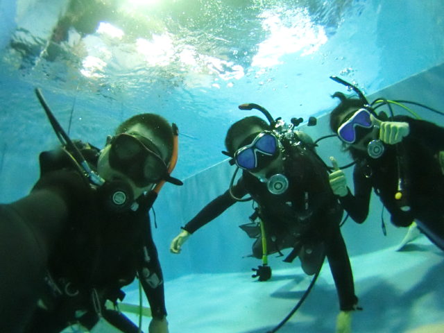 ダイブテリーズ