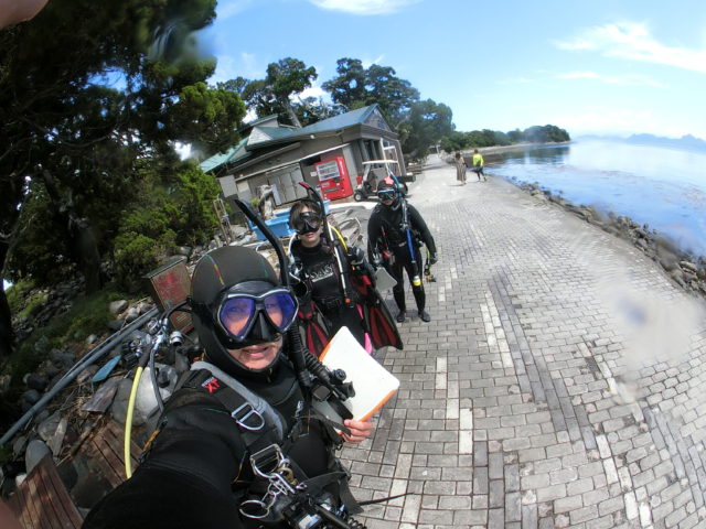 ダイブテリーズ