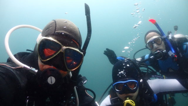 ダイブテリーズ