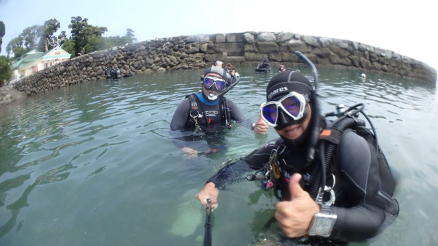 ダイブテリーズ