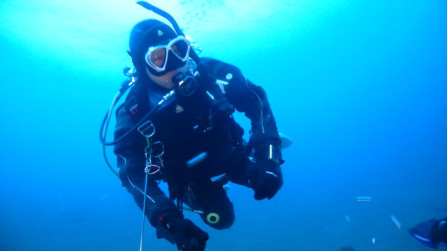 ダイブテリーズ