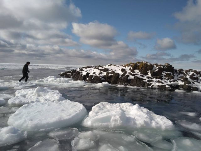 ダイブテリーズ