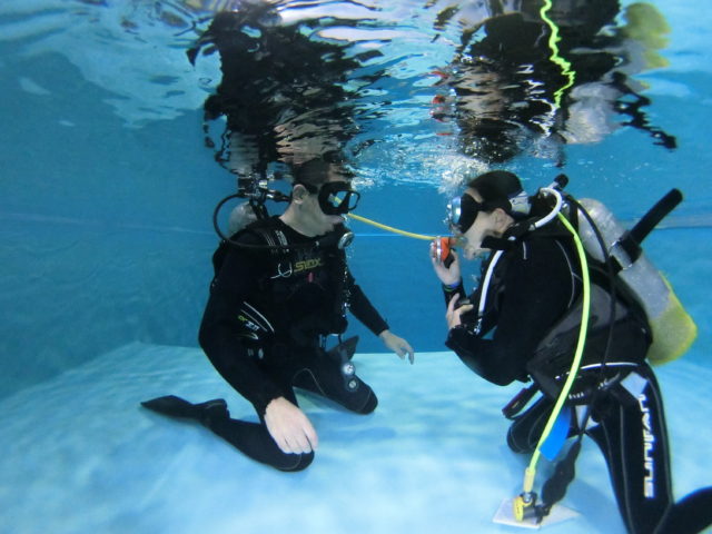 ダイブテリーズ