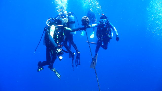 ダイブテリーズ