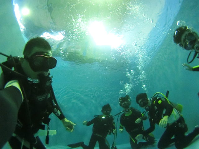 ダイブテリーズ