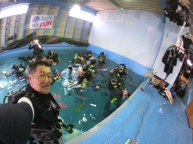 ダイブテリーズ