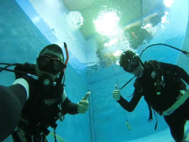 ダイブテリーズ