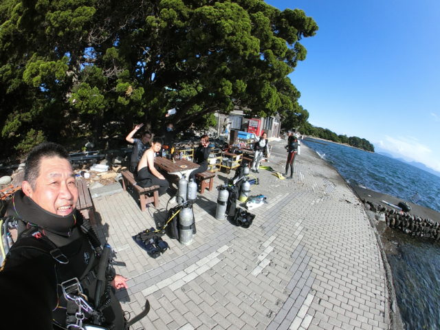 ダイブテリーズ