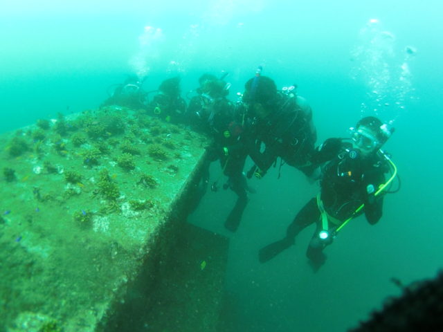 ダイブテリーズ