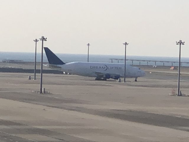 ダイブテリーズ