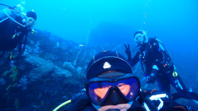 ダイブテリーズ