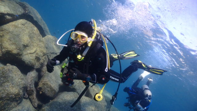 ダイブテリーズ