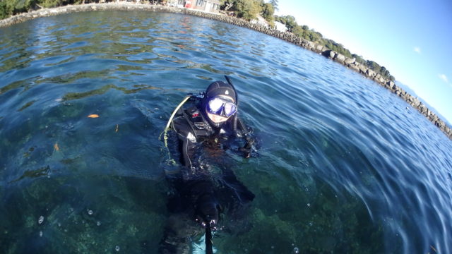 ダイブテリーズ