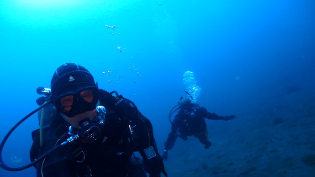 ダイブテリーズ